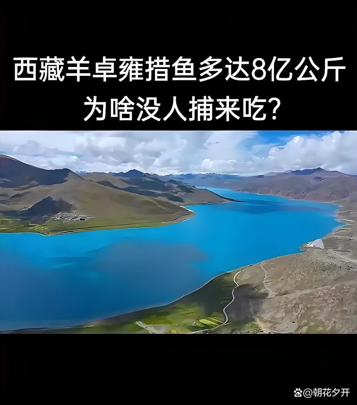 和尚可以吃魚肉嗎