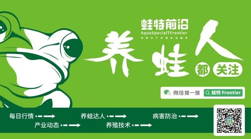 廣西埃及魚收購價(jià)格 廣西埃及魚收購價(jià)格 龍魚論壇 第12張