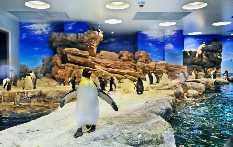國家水族館名錄公布最新消息