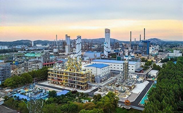 云浮水族批發(fā)市場 云浮水族批發(fā)市場 全國水族館企業(yè)名錄 第6張