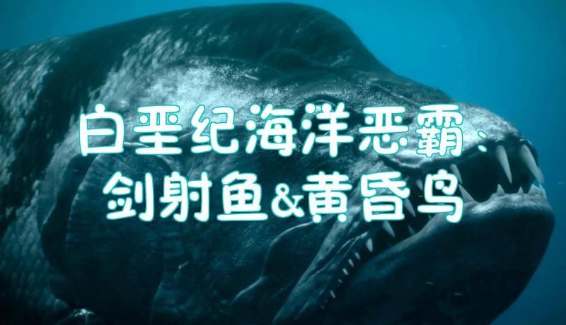 劍射魚