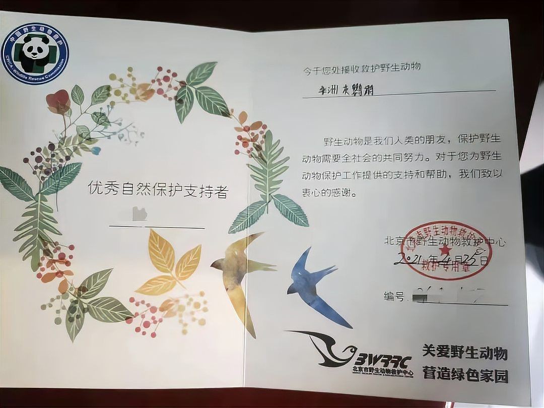 國家一級保護鸚鵡有哪些 國家一級保護鸚鵡有哪些 龍魚論壇 第4張