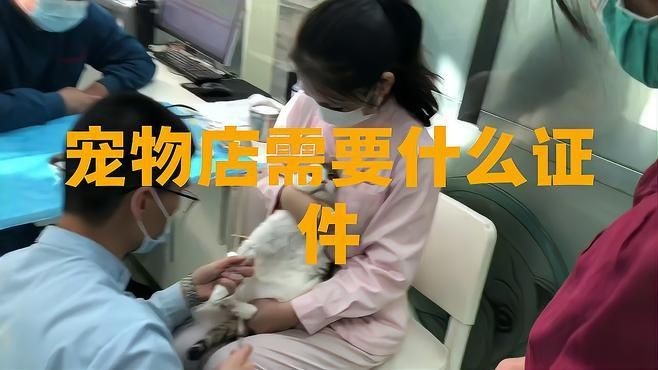 開(kāi)寵物店需要考什么證