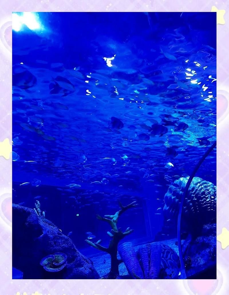 商丘水族館，商丘水族館