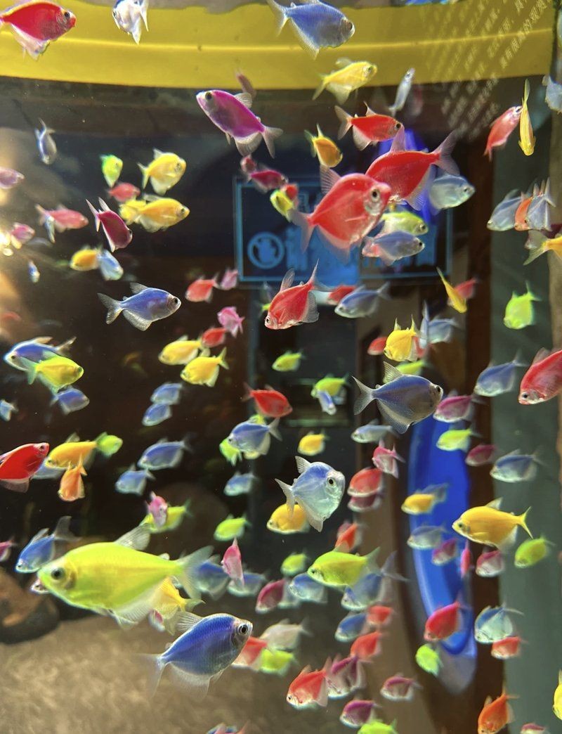 商丘水族館，商丘水族館