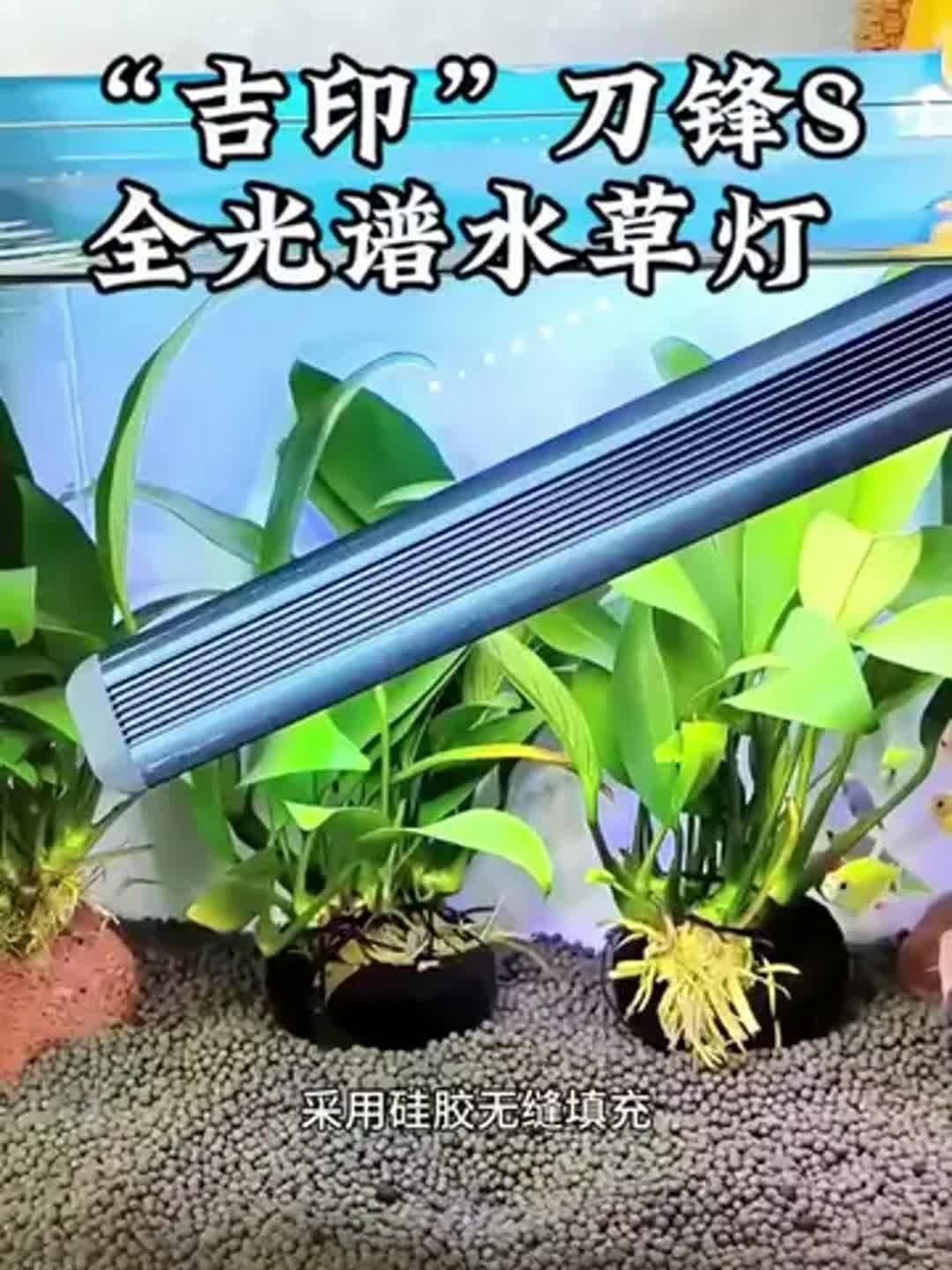 吉印全光譜水草燈怎么樣，實測分享吉印全光譜水草燈種植效果