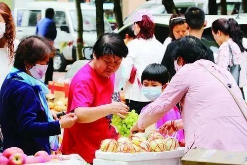 中衛水族批發市場，中衛水族批發市場，品類齊全的水族