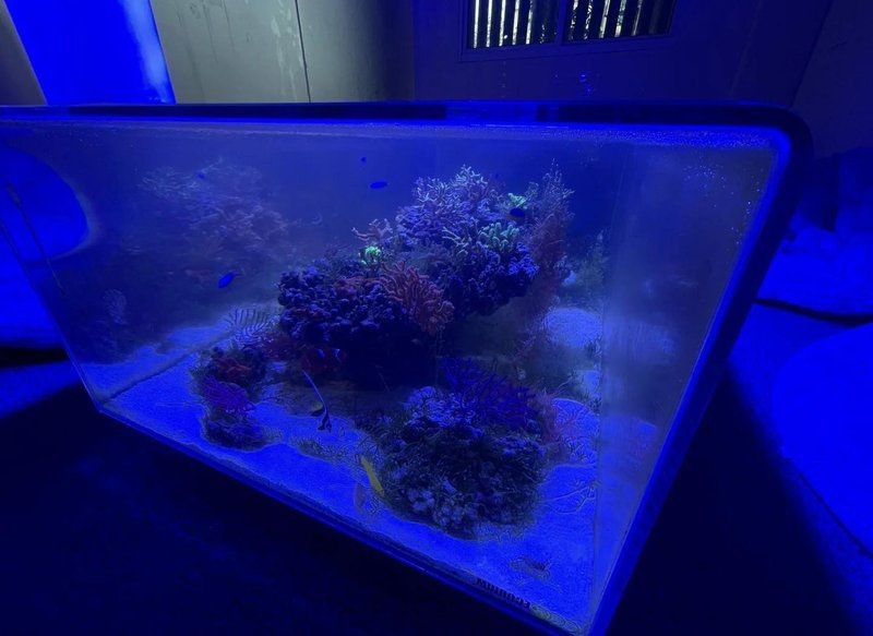 吉印水族最繁華的三個地方，探秘吉印水族三大