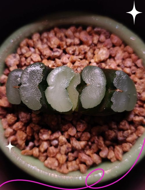 古風玉扇圖片,唯美古風玉扇高清圖片,執扇展雅韻,墨染千年風 全國水族館企業名錄 第21張 古風玉扇圖片,唯美古風玉扇高清圖片,執扇展雅韻,墨染千年風 古風玉扇圖片,唯美古風玉扇高清圖片,執扇展雅韻,墨染千年風 全國水族館企業名錄 第21張