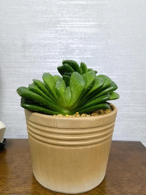 古風玉扇圖片,唯美古風玉扇高清圖片,執扇展雅韻,墨染千年風 全國水族館企業名錄 第3張 古風玉扇圖片,唯美古風玉扇高清圖片,執扇展雅韻,墨染千年風 古風玉扇圖片,唯美古風玉扇高清圖片,執扇展雅韻,墨染千年風 全國水族館企業名錄 第3張