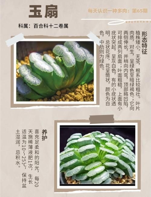 古風玉扇圖片,唯美古風玉扇高清圖片,執扇展雅韻,墨染千年風 全國水族館企業名錄 第4張 古風玉扇圖片,唯美古風玉扇高清圖片,執扇展雅韻,墨染千年風 古風玉扇圖片,唯美古風玉扇高清圖片,執扇展雅韻,墨染千年風 全國水族館企業名錄 第4張