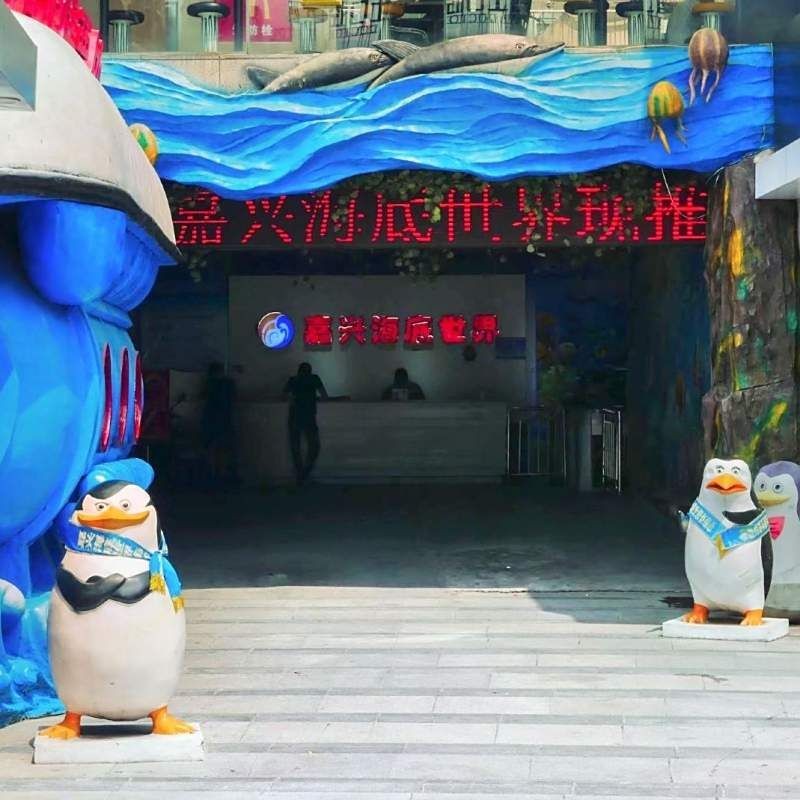 嘉興水族館，探秘嘉興水族館，解鎖海底奇觀與