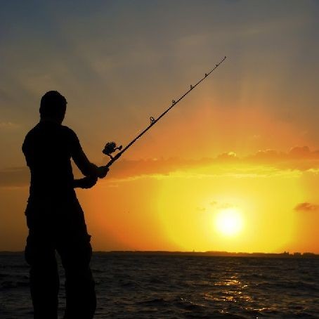 國家為什么禁止吃羅非魚，國家明令禁止食用羅非魚？背后真相與科學依據深度