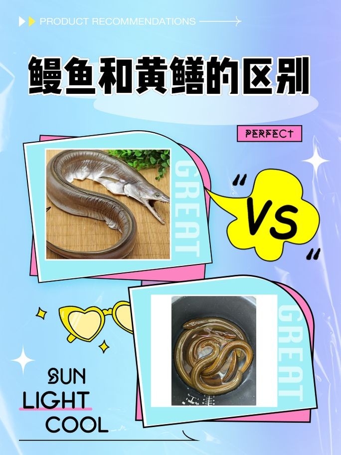 和尚魚和黃鱔圖片對(duì)比，和尚魚VS黃鱔高清圖鑒，外形