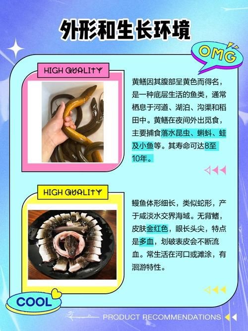 和尚魚和黃鱔圖片對(duì)比，和尚魚VS黃鱔高清圖鑒，外形