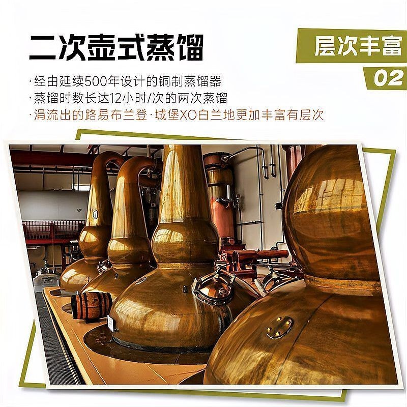 國際紅龍品牌排行榜，202X年國際紅龍品牌權威排行榜重磅發布！