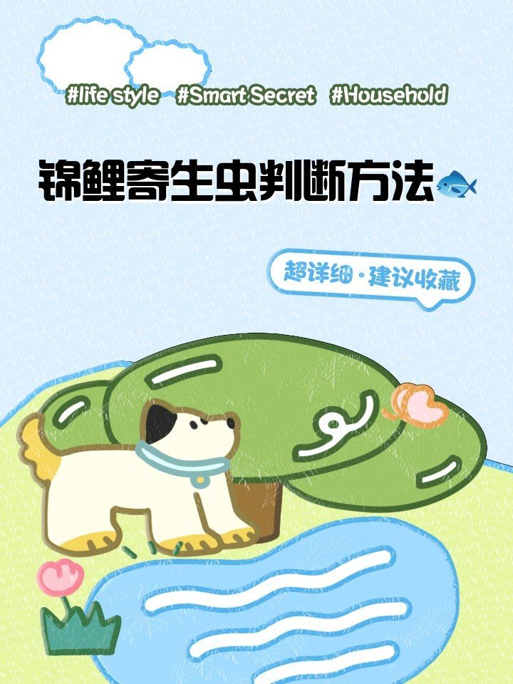 怎么判斷錦鯉有寄生蟲，錦鯉寄生蟲感染的五大典型 怎么判斷錦鯉有寄生蟲，錦鯉寄生蟲感染的五大典型 龍魚百科 第3張