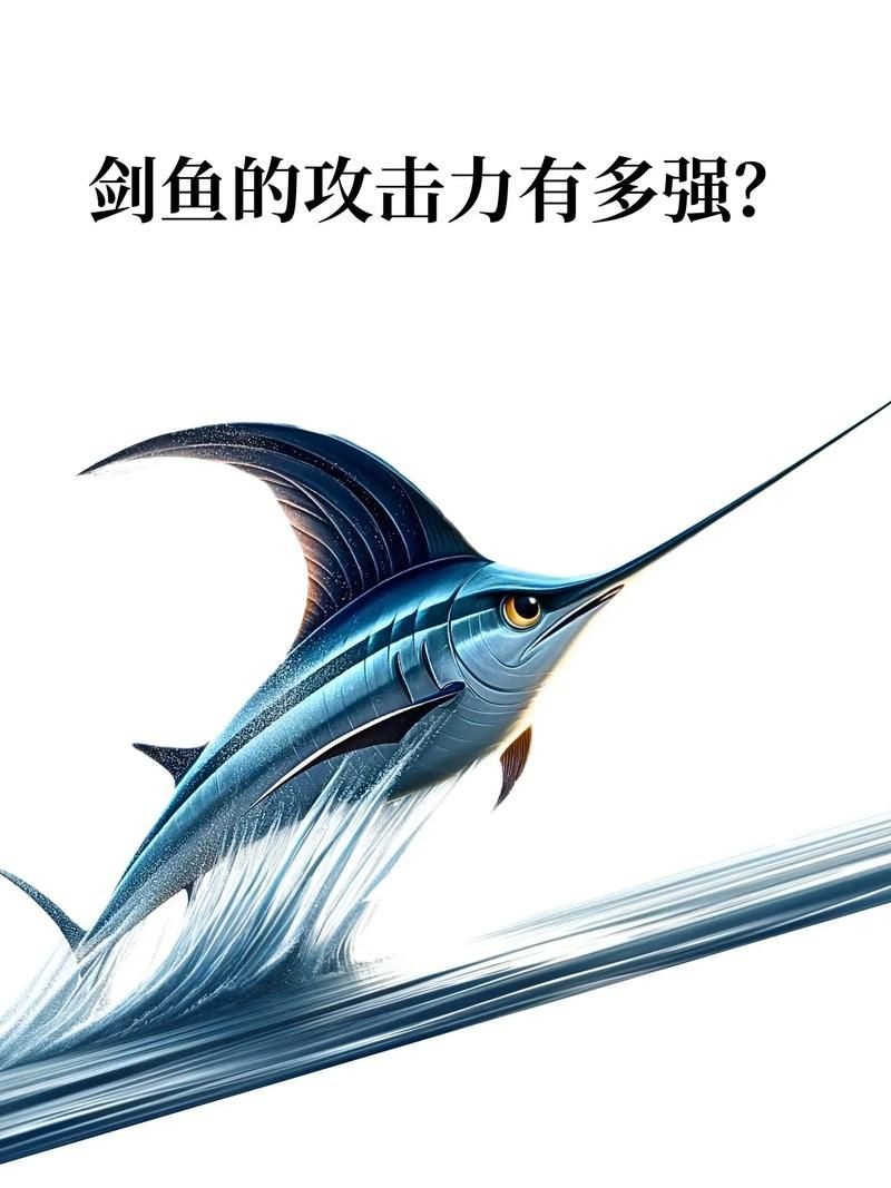 河劍魚圖片，高清精美河劍魚圖片大全，