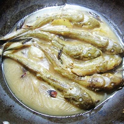 家常狗魚做法大全，家常美味輕松做！狗魚超全做法步驟詳解