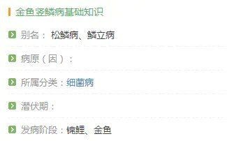 豎鱗病圖片，豎鱗病典型癥狀高清圖片 豎鱗病圖片，豎鱗病典型癥狀高清圖片 龍魚百科 第23張