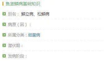 豎鱗病圖片，豎鱗病典型癥狀高清圖片 豎鱗病圖片，豎鱗病典型癥狀高清圖片 龍魚百科 第21張