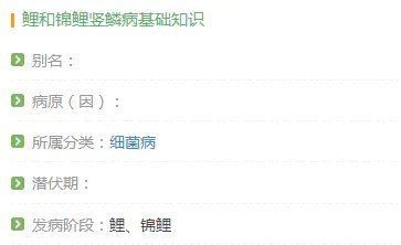 豎鱗病圖片，豎鱗病典型癥狀高清圖片 豎鱗病圖片，豎鱗病典型癥狀高清圖片 龍魚百科 第20張