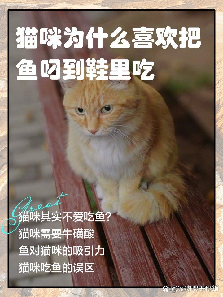 家里養金魚被貓偷吃了，家中萌寵大作戰！金魚竟慘遭貓咪