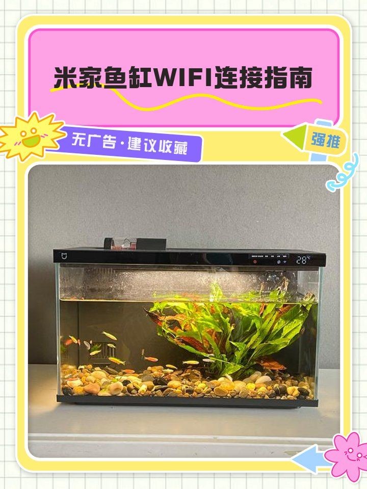 吉印智能水族APP，吉印智能水族APP，開啟指尖上的生態(tài)水景