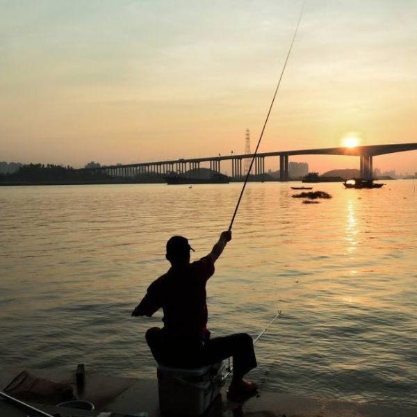 河里抓的小魚能喂銀龍魚嗎，河中捕撈的野生小魚能否安全投喂