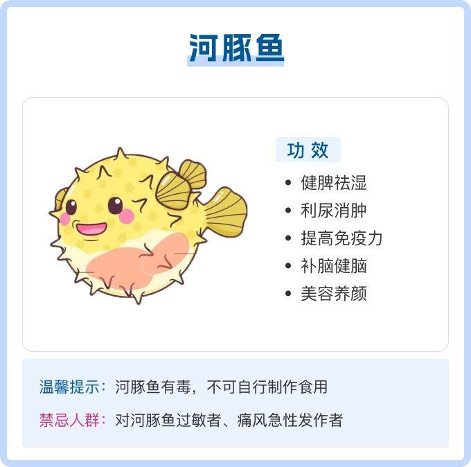 河豚魚的營養價值及功效，探秘河豚魚，全面解析其獨特營養價值與顯著