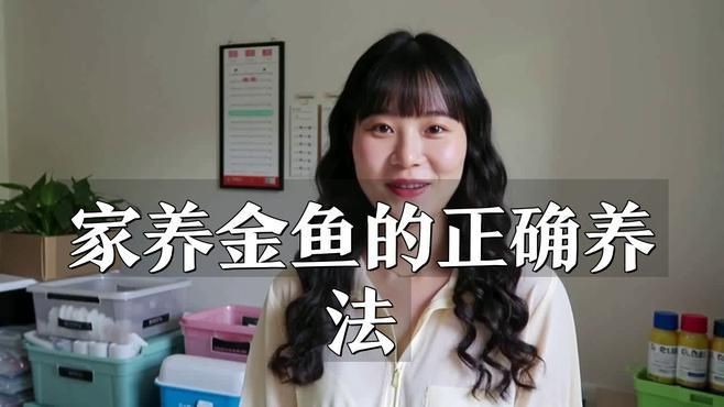 家養金魚的正確養法，家庭觀賞金魚科學養護全攻略，新手必
