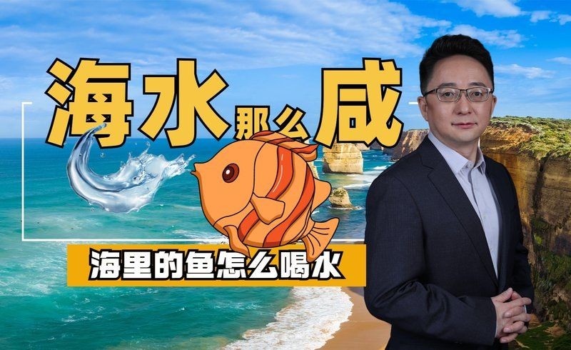海水有鹽為什么魚不死，揭秘，海水含鹽量極高，魚兒為何能安然存活