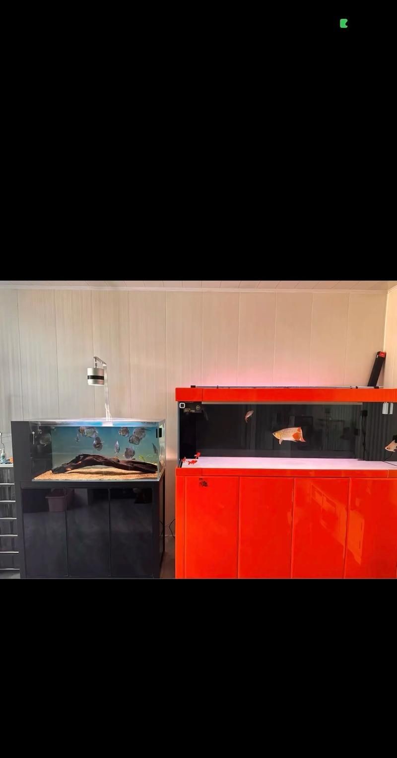久鼎魚缸圖片，久鼎魚缸高清實
