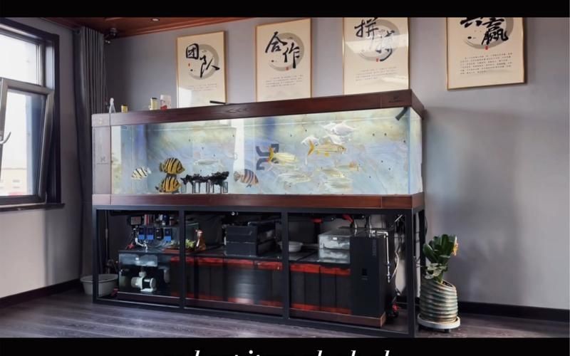 久鼎魚缸圖片，久鼎魚缸高清實