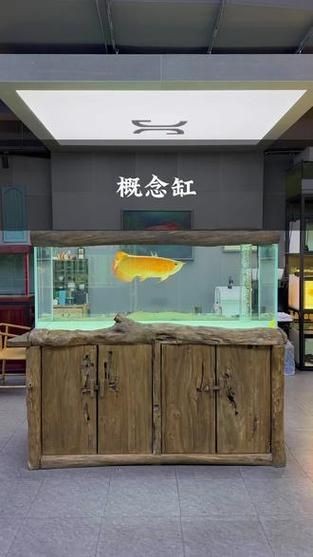 久鼎魚缸圖片，久鼎魚缸高清實