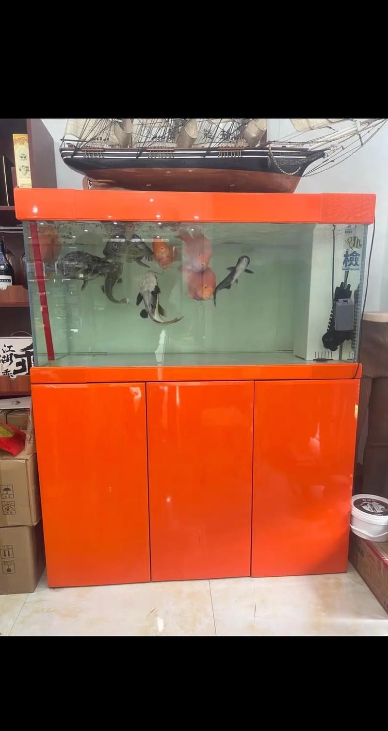 久鼎魚缸圖片，久鼎魚缸高清實