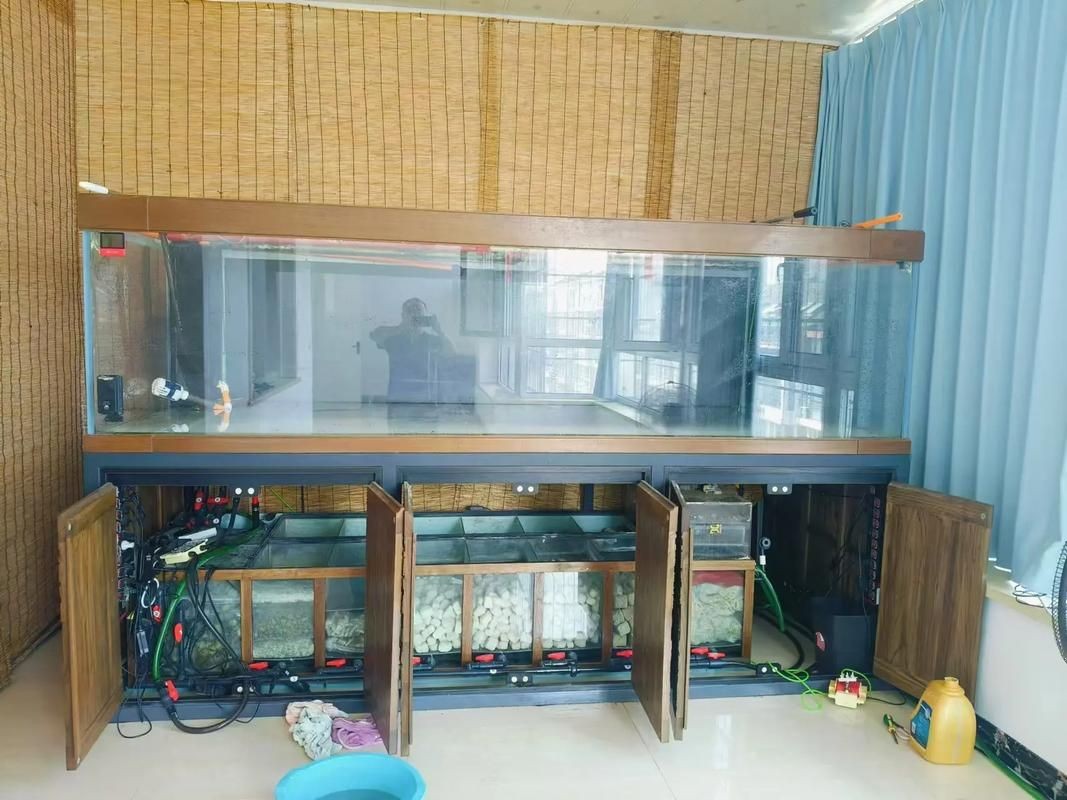 久鼎魚缸圖片，久鼎魚缸高清實