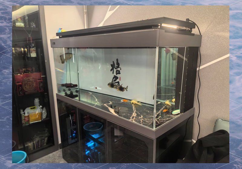 久鼎魚缸圖片，久鼎魚缸高清實