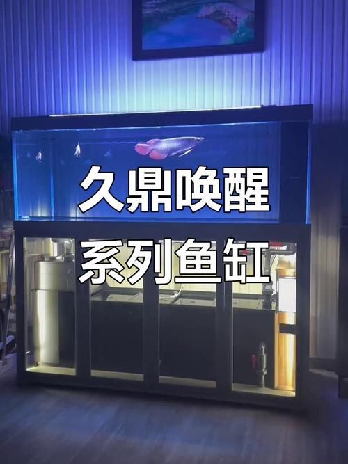久鼎魚缸圖片，久鼎魚缸高清實