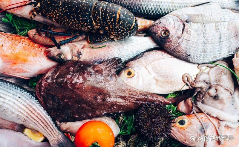 和尚魚(yú)為何不能養(yǎng)，揭秘和尚魚(yú)不宜養(yǎng)殖的科學(xué)緣由與生存 和尚魚(yú)為何不能養(yǎng)，揭秘和尚魚(yú)不宜養(yǎng)殖的科學(xué)緣由與生存 龍魚(yú)論壇 第1張