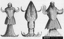 海和尚是種什么生物，揭秘海和尚的真實身份，它究竟屬于何種海洋生物 海和尚是種什么生物，揭秘海和尚的真實身份，它究竟屬于何種海洋生物 龍魚論壇 第11張
