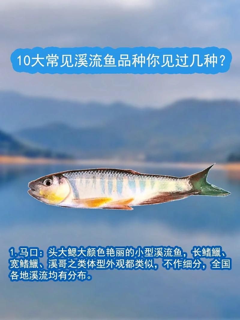 河里小魚品種圖片大全，超全圖鑒河里常見小魚