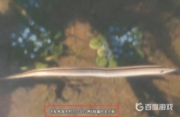 古劍奇譚三龍王魚用什么魚餌，古劍奇譚三龍王魚高效垂釣
