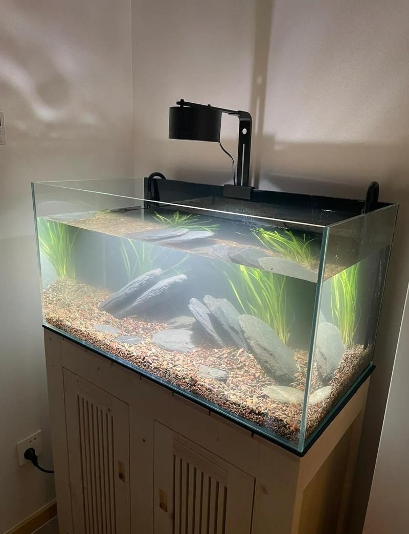 吉祥九鼎魚缸怎么樣，吉祥九鼎魚缸深度測評，品質性能與用戶口碑全 吉祥九鼎魚缸怎么樣，吉祥九鼎魚缸深度測評，品質性能與用戶口碑全 全國水族館企業名錄 第5張