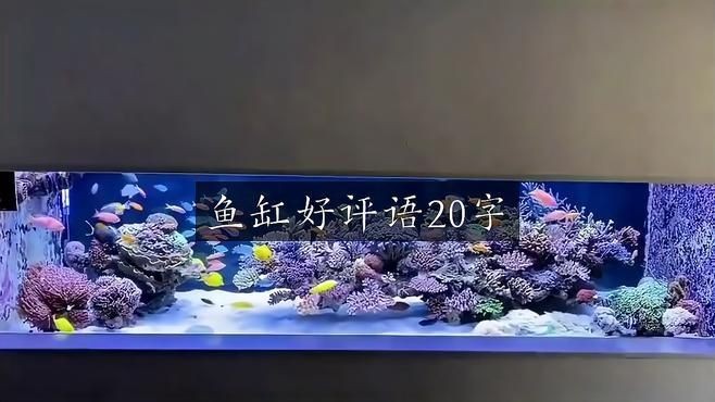 吉祥九鼎魚缸怎么樣，吉祥九鼎魚缸深度測評，品質性能與用戶口碑全 吉祥九鼎魚缸怎么樣，吉祥九鼎魚缸深度測評，品質性能與用戶口碑全 全國水族館企業名錄 第7張