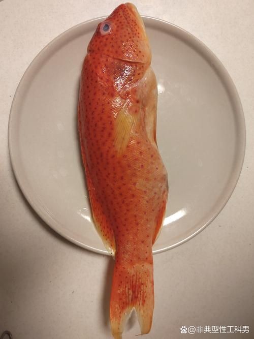 紅色的魚有哪幾種圖片，盤點全球驚艷紅色觀賞魚品種及