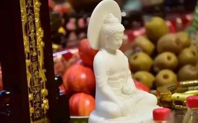 和尚魚最忌三種水果，?? 和尚魚遇上這3種水果=健康隱患！