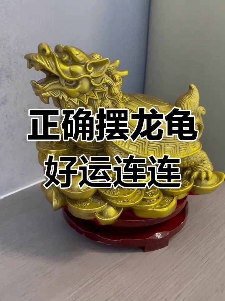 家里龍龜擺件放哪里好，家庭龍龜擺件最佳擺放位置