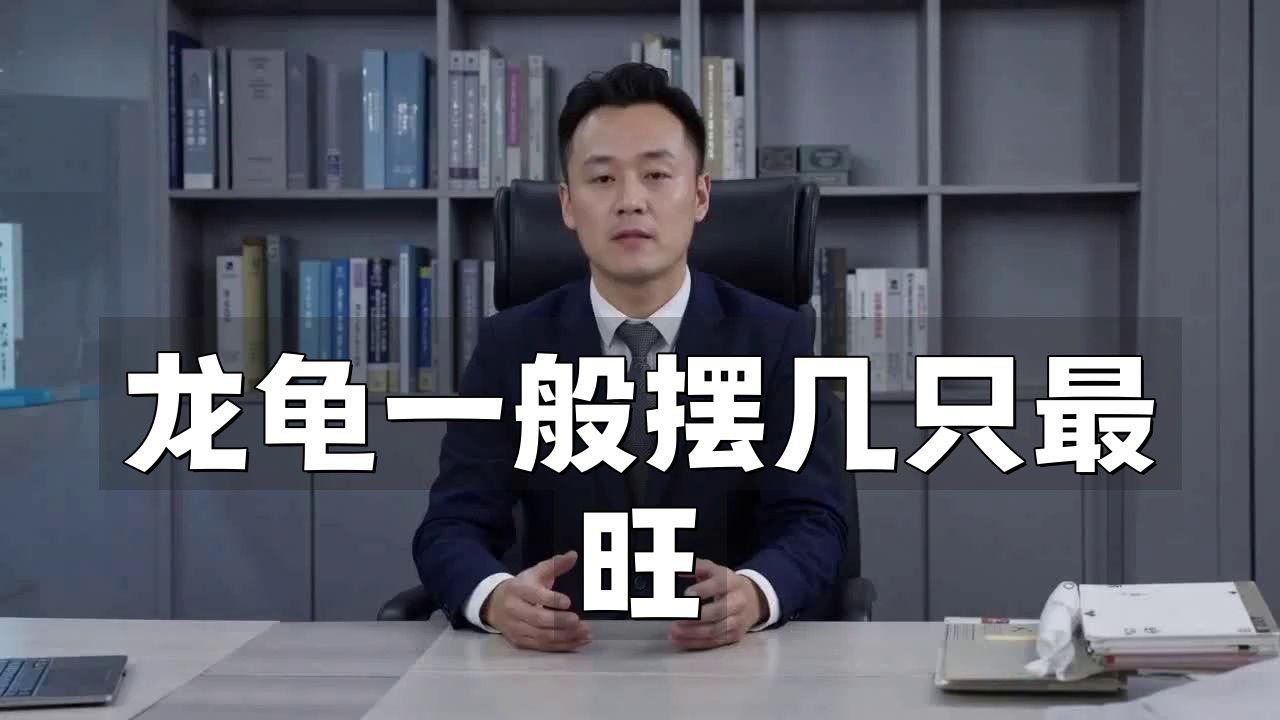 家里龍龜擺件放哪里好，家庭龍龜擺件最佳擺放位置