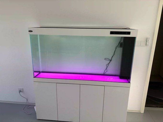 漢霸魚缸建議買嗎，實測分享漢霸魚缸真的值得入手嗎？優缺點全解析 漢霸魚缸建議買嗎，實測分享漢霸魚缸真的值得入手嗎？優缺點全解析 龍魚論壇 第2張